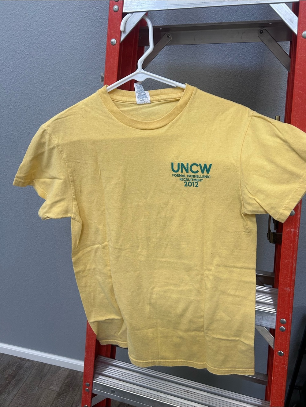 Vintage Greek Life Hanes Yellow T-Shirt with Green Chest Graphic